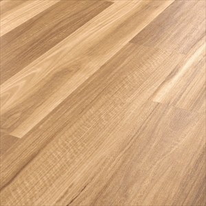 LooseLay Longboard Plank Lemon Spotted Gum